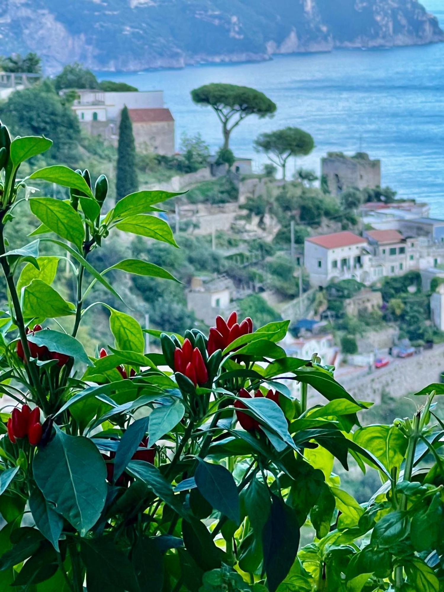 Villa Nina Amalfi Eksteriør billede